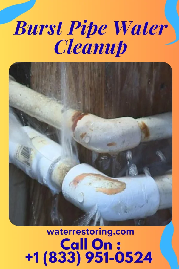 Burst Pipe Water Cleanup in Tetherow, OR